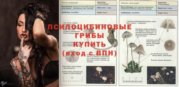 дурь Алексин