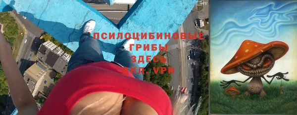 гидропоника Аркадак