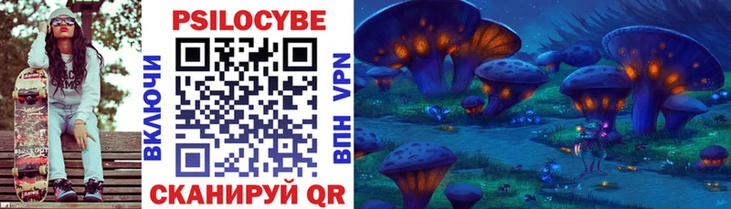 Галлюциногенные грибы Psilocybe  как найти   мега ТОР  Шацк 