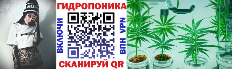 Марихуана OG Kush  kraken рабочий сайт  Шацк 